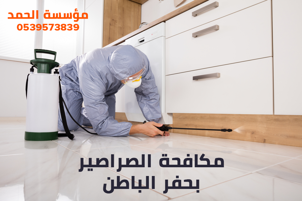 مكافحة الصراصير بحفر الباطن
